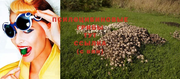 Альфа ПВП Бугульма