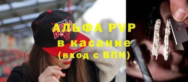 трава Бородино