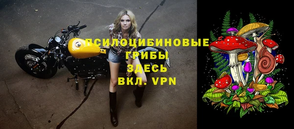 трава Бородино